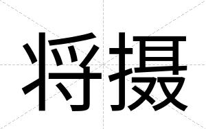 将摄