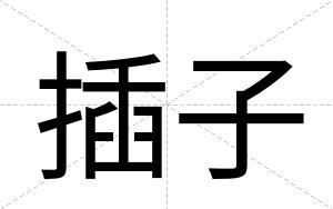 插子