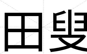 田叟