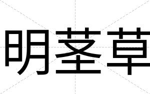 明茎草