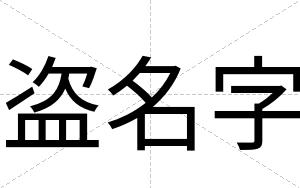 盗名字