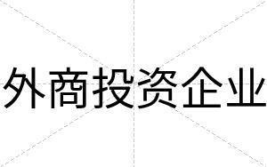 外商投资企业