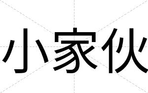 小家伙