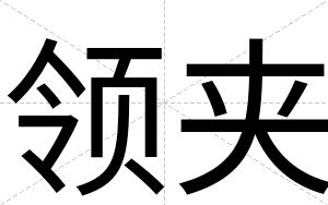 领夹