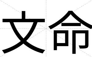 文命