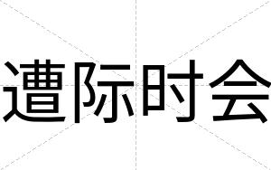 遭际时会