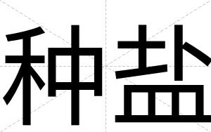 种盐