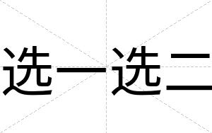 选一选二