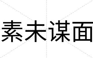 素未谋面