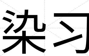 染习