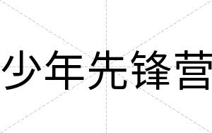 少年先锋营