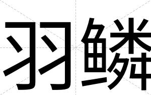 羽鳞