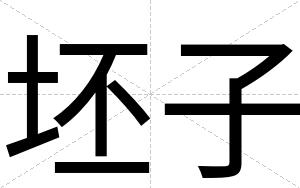 坯子