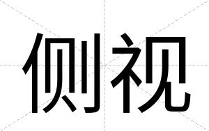 侧视