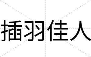 插羽佳人