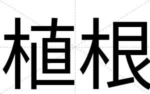 植根