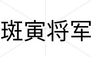 斑寅将军