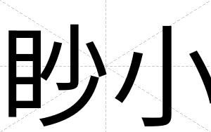 眇小