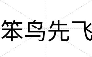 笨鸟先飞
