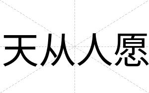 天从人愿