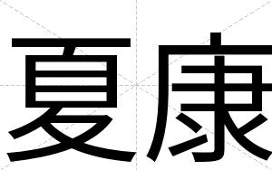 夏康