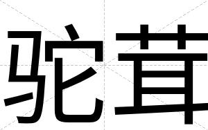 驼茸