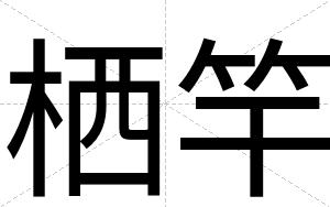 栖竿
