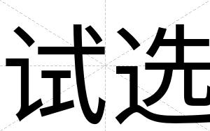 试选