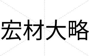 宏材大略