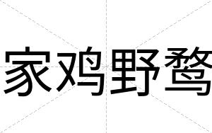 家鸡野鹜