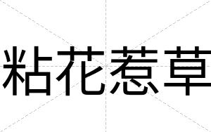 粘花惹草