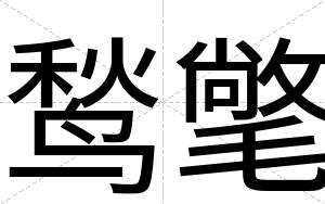 鹙氅