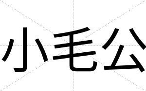 小毛公