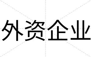 外资企业