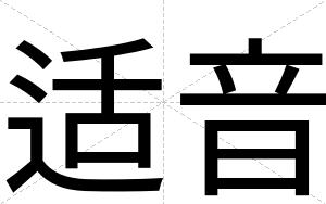 适音