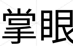 掌眼