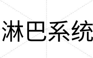 淋巴系统
