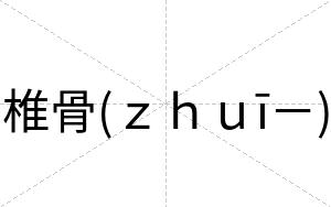 椎骨(ｚｈｕī－)