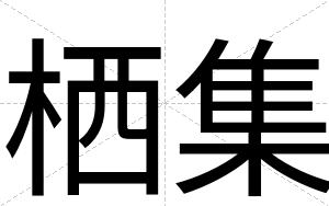 栖集