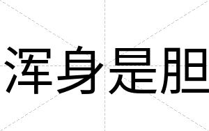 浑身是胆