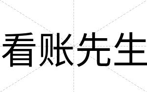 看账先生