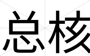 总核