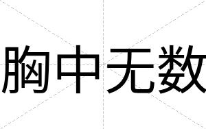 胸中无数