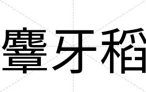 麞牙稻