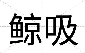 鲸吸