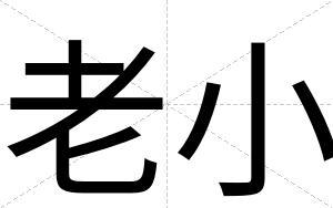 老小