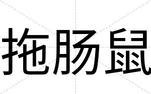 拖肠鼠