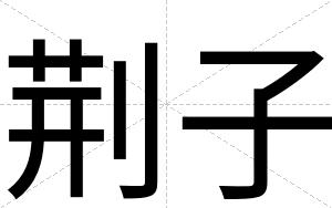 荆子