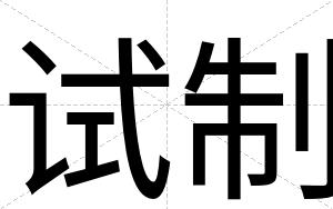 试制