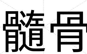 髓骨